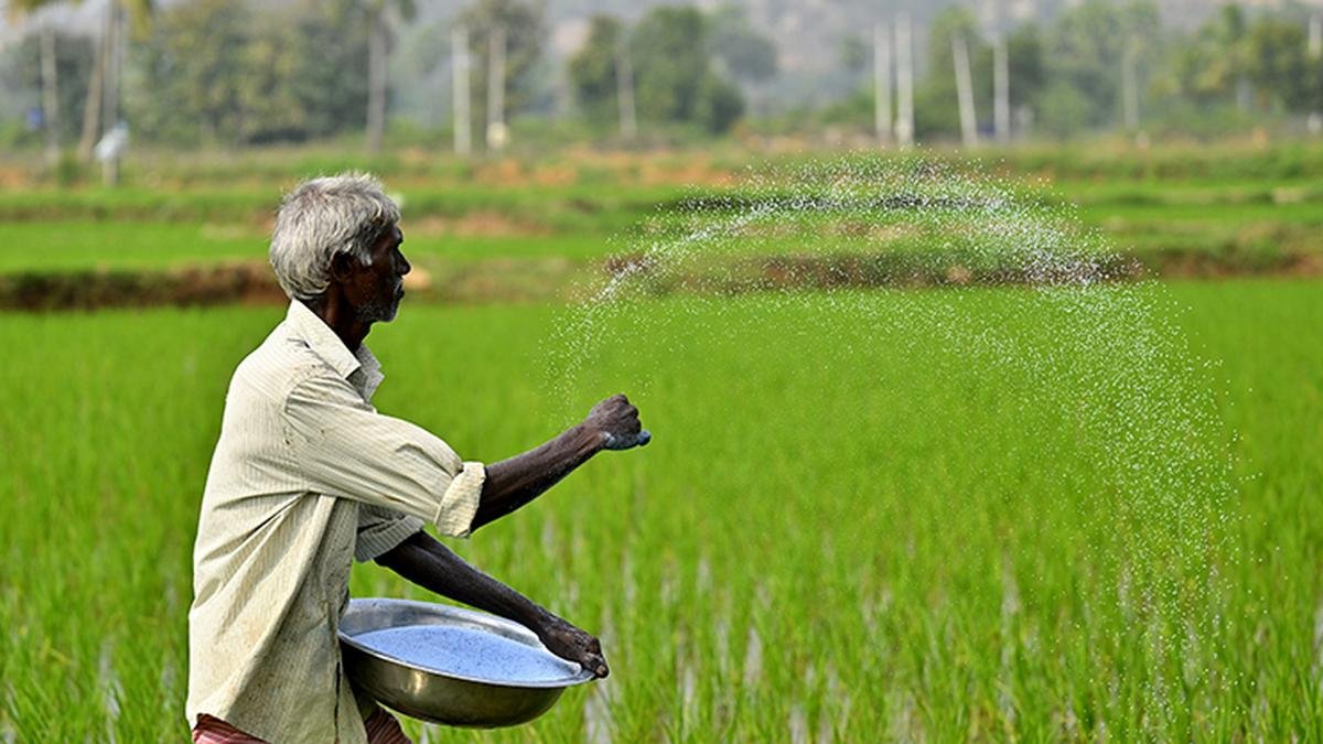 Economic survey sees robust growth in agriculture, allied sectors