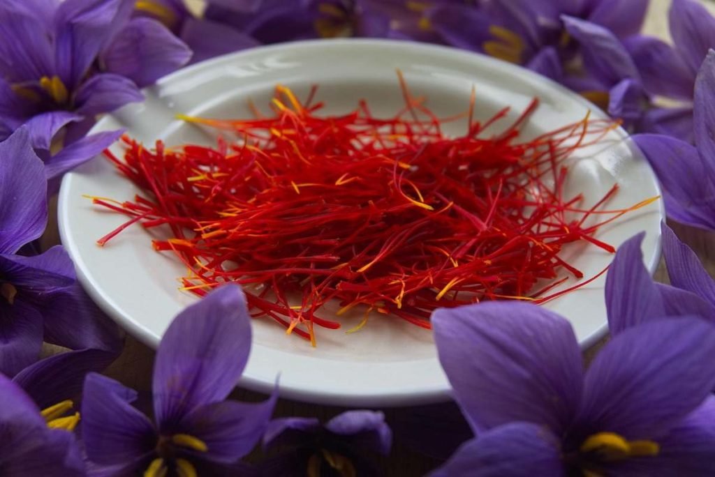 Growing Saffron at Home