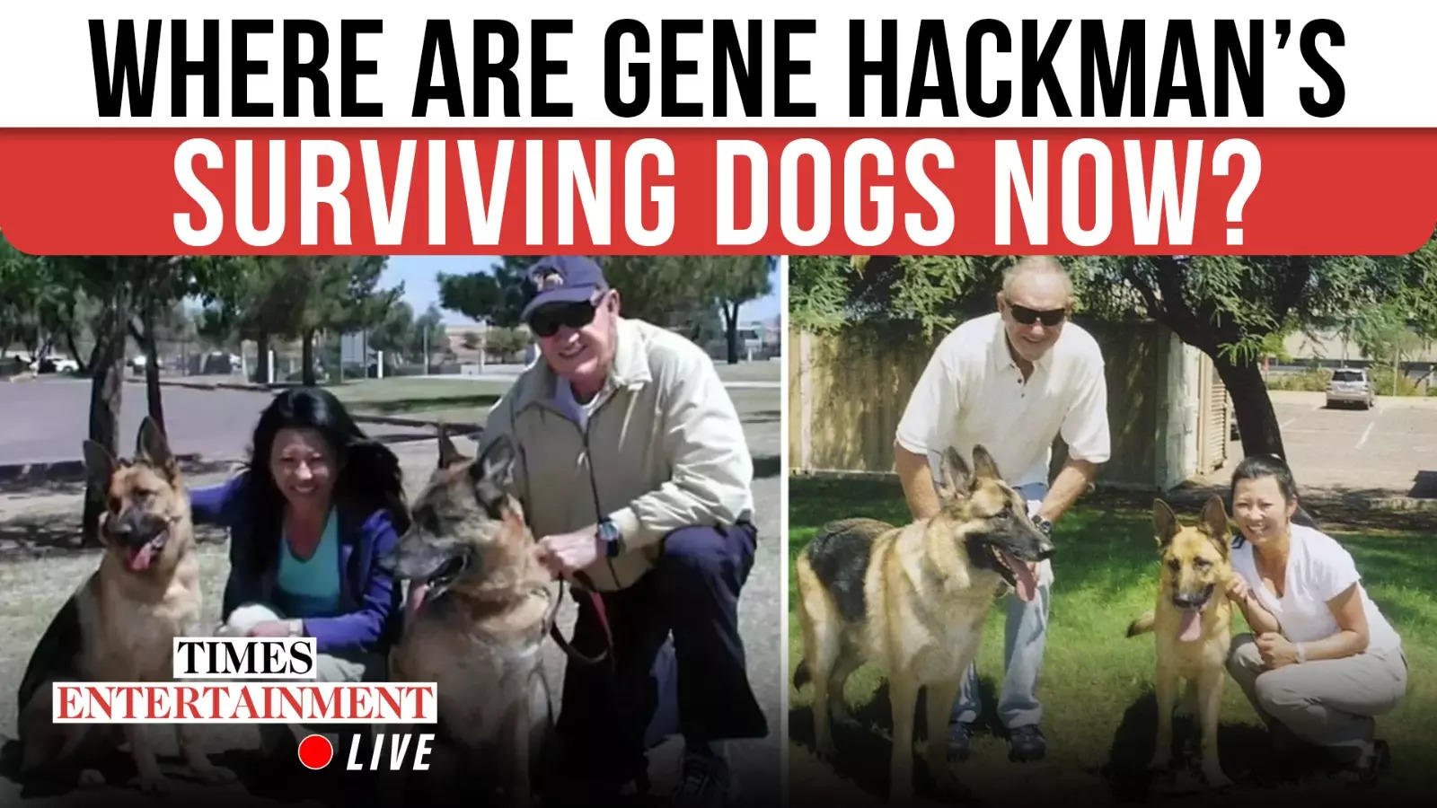 Heartwarming Update On Gene Hackman’s Two Surviving Dogs; Rescuer Confirms Their Future