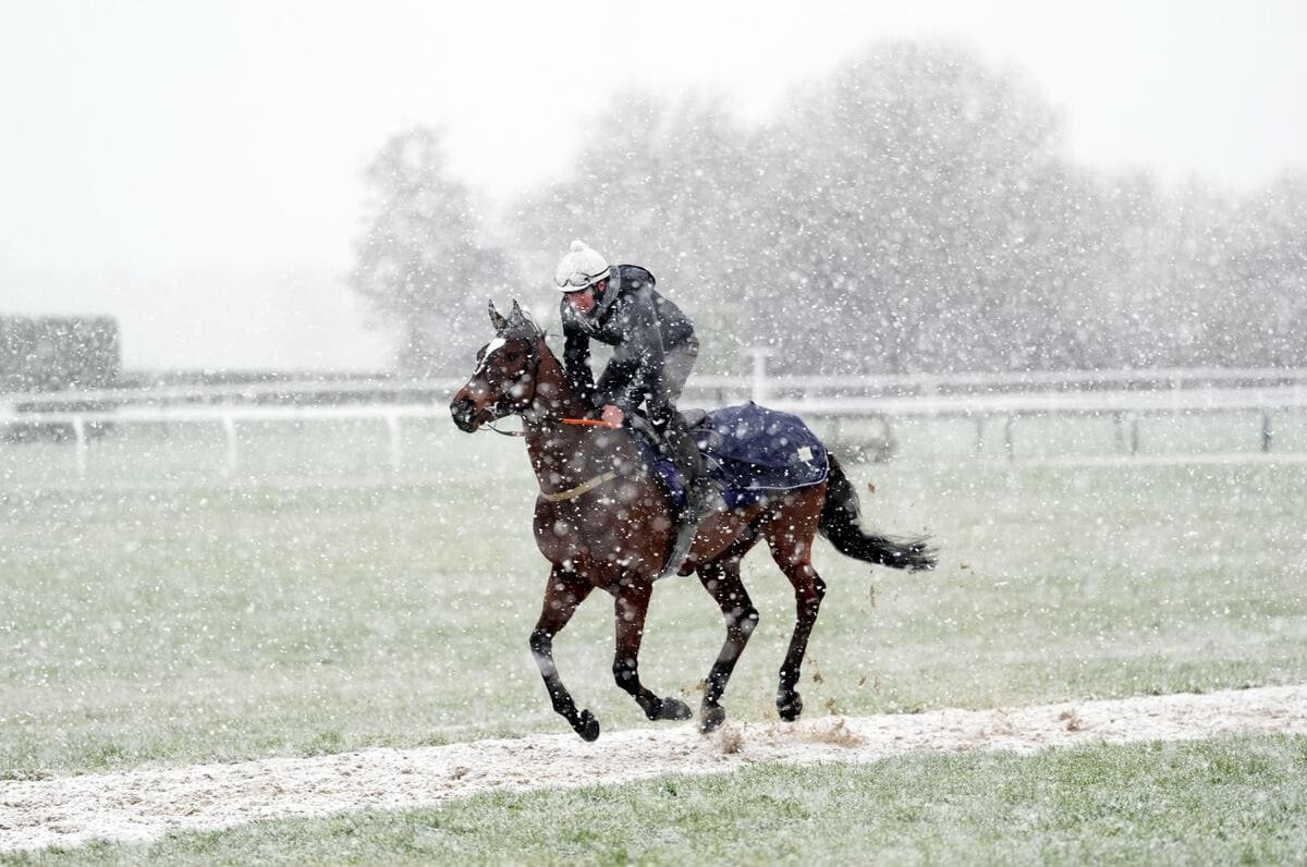 Snow at Cheltenham