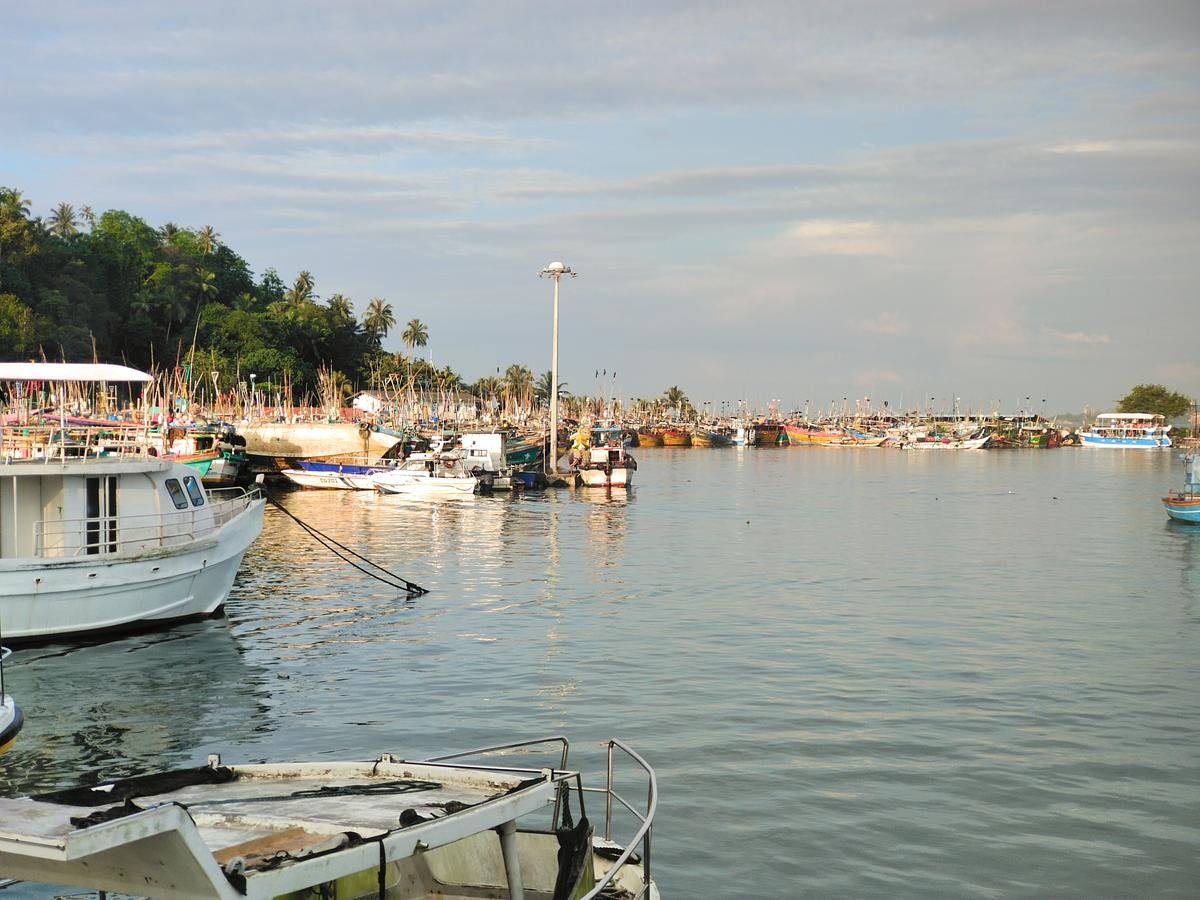 Mirissa harbour at dawn as boats prepare to depart for the sea, ready for whale watching excursions.