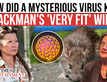 How a Mysterious Virus Killed Gene Hackman’s ‘Fit’ Wife; The Truth About Silent Killer Hantavirus