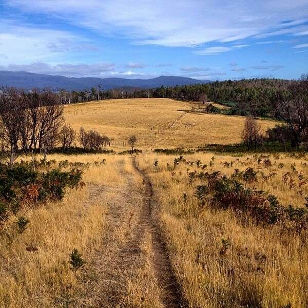 The Tasmanian Trail