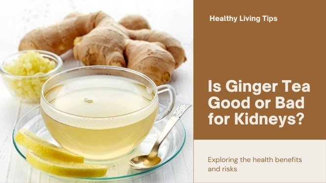 Is ginger tea good for kidneys?