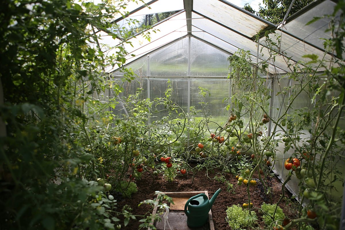 The Ultimate Guide to Greenhouse Kits and Glass Greenhouses