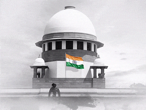 The petitioner in the Supreme Court said- Maharashtra government has complete data, but it is not conducting elections. - Dainik Bhaskar