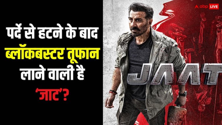 Jaat Box Office Collection sunny deol movie unable to cover its budget worldwide makers in loss jaat hit or flop jaat 2 next blockbuster Jaat Box Office Collection: जाट हिट हुई या फ्लॉप? 25 दिन तक तहलका मचाने के बावजूद मेकर्स नुकसान में!
