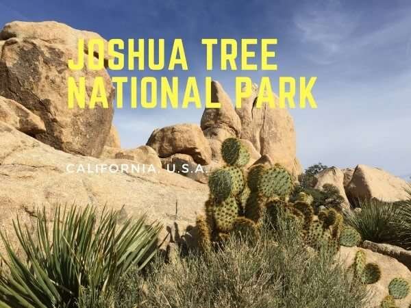 Joshua Tree National Park Spending A Day