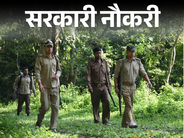 Recruitment of Forest Range Officer in Bihar; Opportunity for Graduates, Salary Up to 1 Lakh 12 Thousand | Government Job: Recruitment of Forest Range Officer in Bihar; Graduates chance, salary up to 1 lakh 12 thousand
